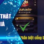 Sunwin Thật Hay Giả? Cách Nhận Biết Tránh Nền Tảng Giả Mạo
